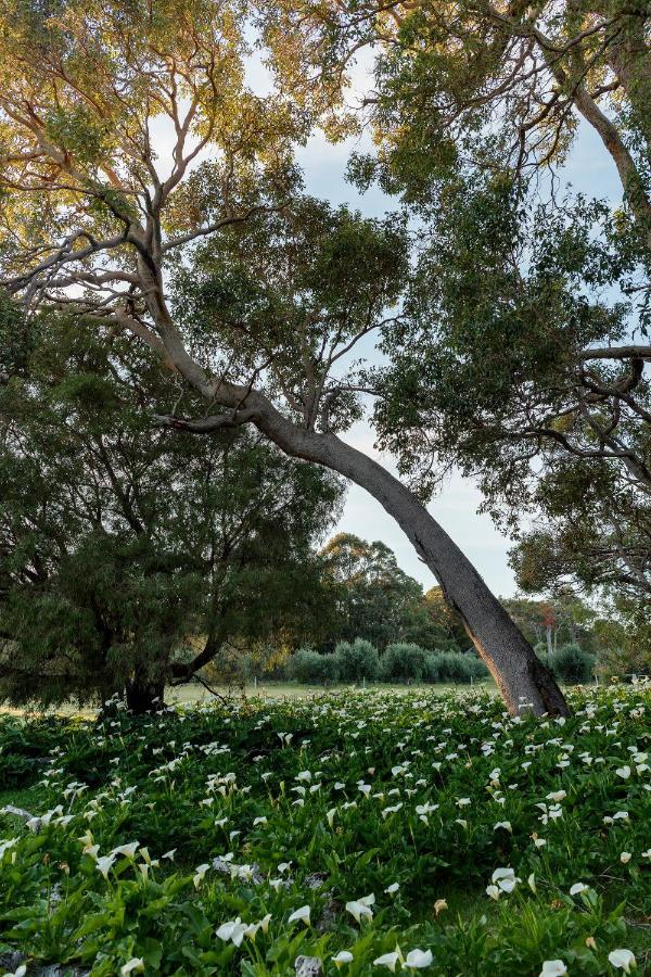 Empire Spa Retreat Dunsborough Buitenkant foto